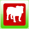 Bullguard Mobile Security